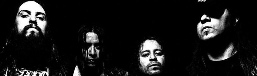 Disgorge